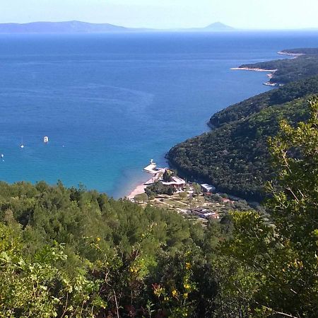 North Adriatic View Apartment Rabac Bagian luar foto
