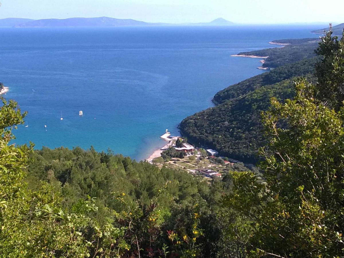 North Adriatic View Apartment Rabac Bagian luar foto